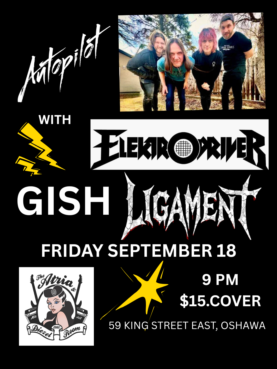 AUTOPILOT, GISH, ELECTRODRIVER, LIGAMENT